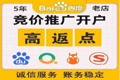 某品牌SEM推广策略的成效与启示